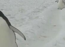 情侣小视频国产区,国产情侣小视频甜蜜瞬间大盘点